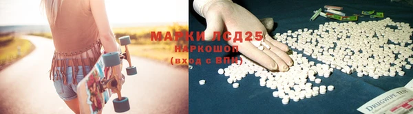 тгк Аркадак