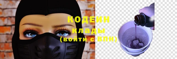дурь Арсеньев