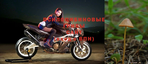 дурь Арсеньев